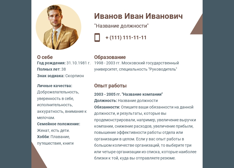 Разработка шаблона резюме дизайнером Wilda