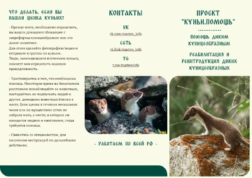 Пример буклета питомника для животных