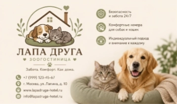 Пример визитки зоогостиницы, сгенерированный нейросетью