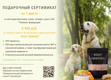 Пример подарочного сертификата за 1 место