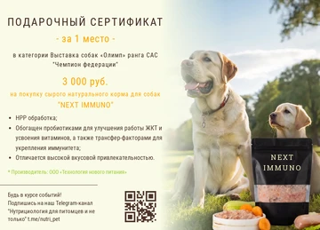 Пример подарочного сертификата за 1 место